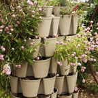 Greenhaus Gardening Vertical Planter 7-Tier Planter for Herbs Vegetables and Flowers