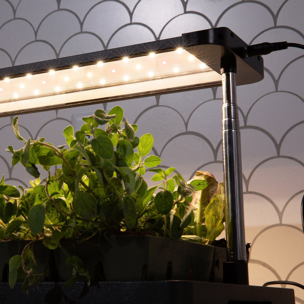 Greenhaus Gardening Grow Light with Tray Low-Profile Countertop Grow System