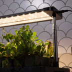 Greenhaus Gardening Grow Light with Tray Low-Profile Countertop Grow System