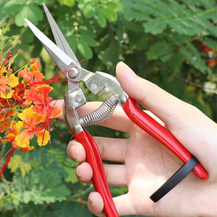 Greenhaus Gardening Stainless Steel Garden Snips for Floral Arranging and Plant Trimming