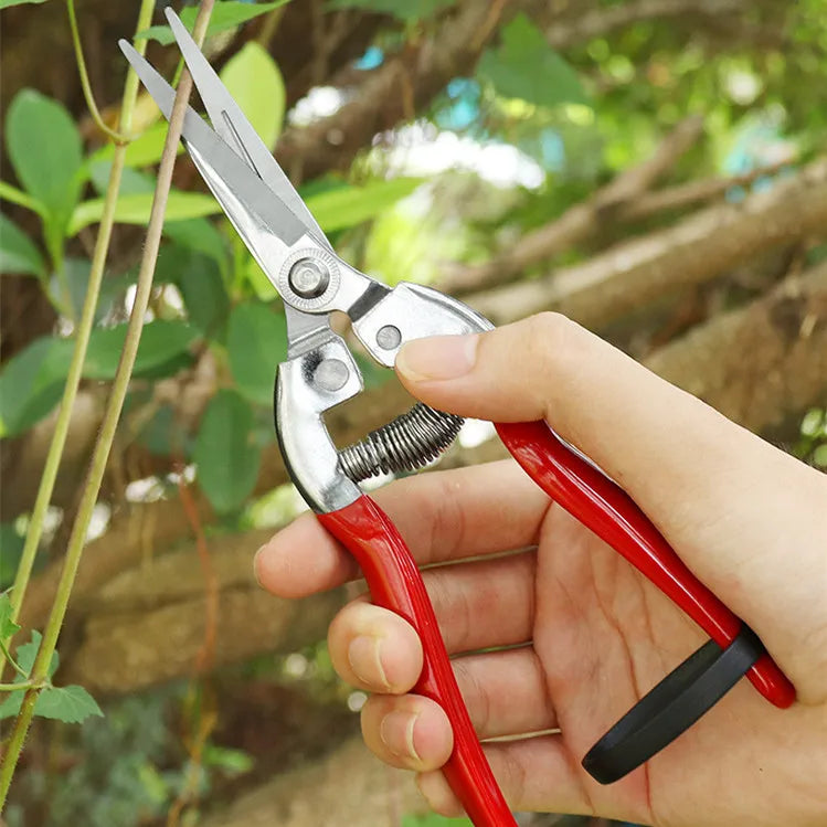 Greenhaus Gardening Stainless Steel Garden Snips for Floral Arranging and Plant Trimming