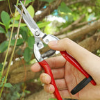 Greenhaus Gardening Stainless Steel Garden Snips for Floral Arranging and Plant Trimming