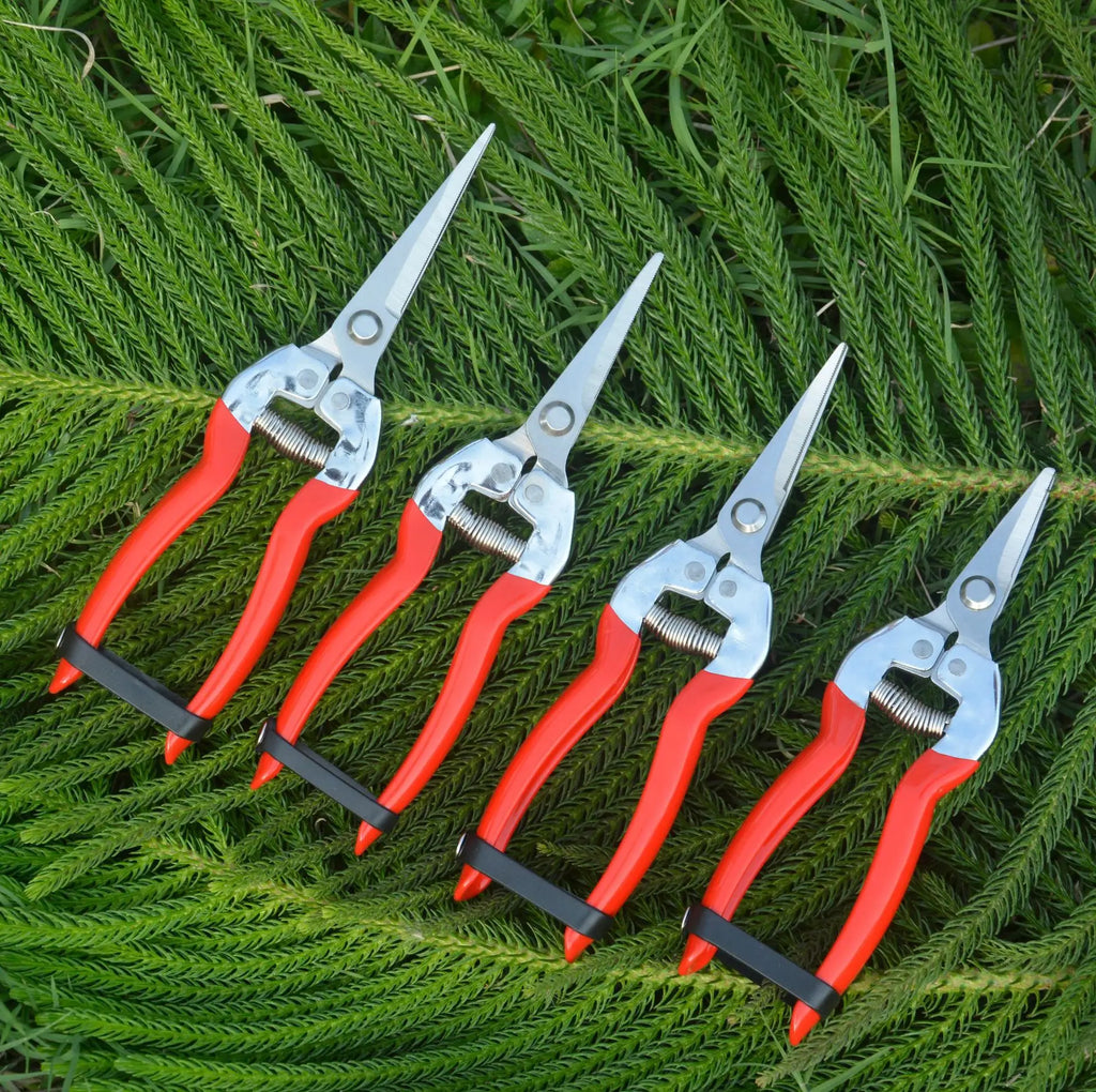 Greenhaus Gardening Industrial Garden Snips for Flowers, Herbs and Fruit Harvesting with Carbon Steel Blades