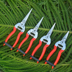 Greenhaus Gardening Industrial Garden Snips for Flowers, Herbs and Fruit Harvesting with Carbon Steel Blades
