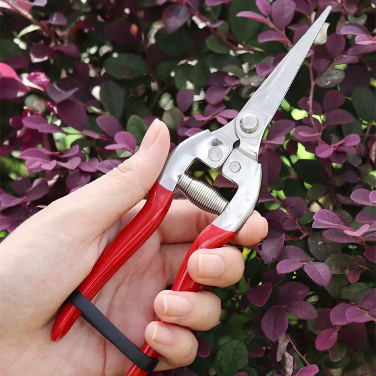 Greenhaus Gardening Stainless Steel Garden Snips for Floral Arranging and Plant Trimming