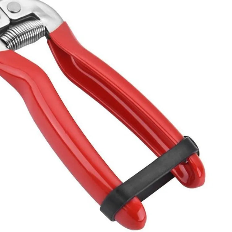 Greenhaus Gardening Stainless Steel Garden Snips for Floral Arranging and Plant Trimming
