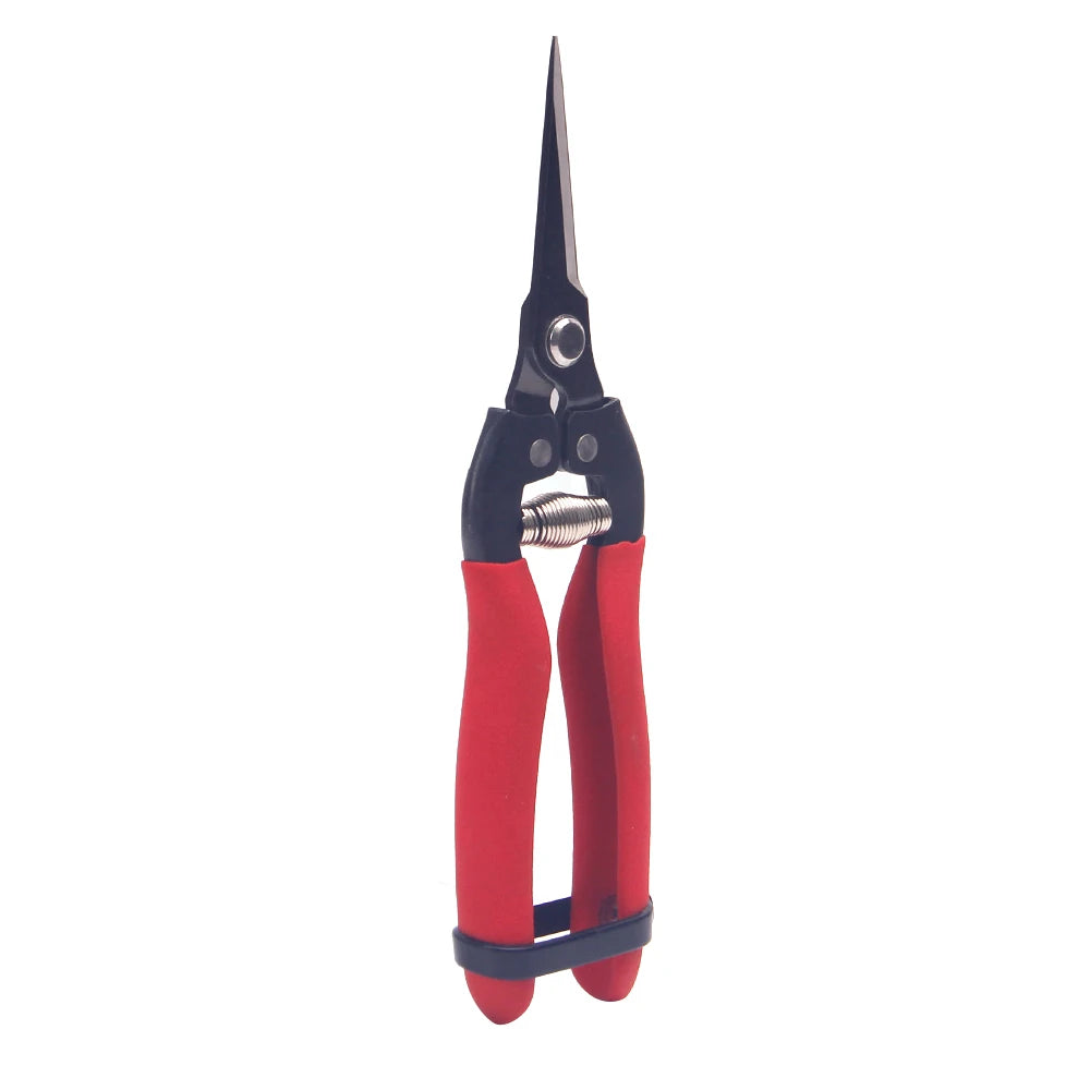 Greenhaus Gardening Professional Garden Snips with Stainless Steel Blades and EVA Comfort Grip