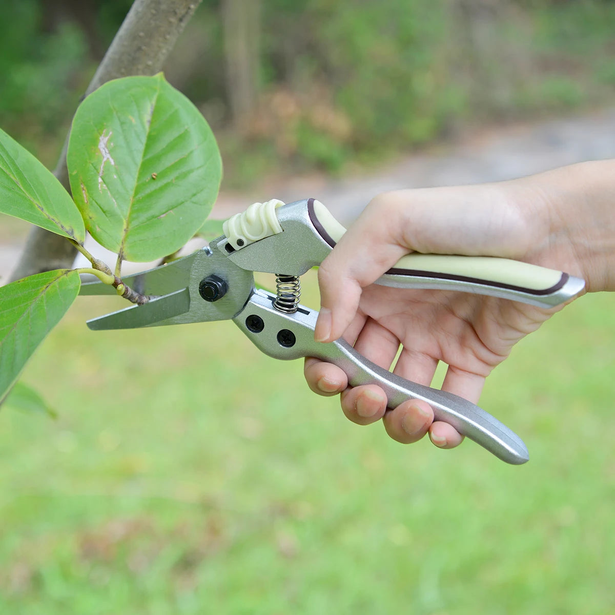 Greenhaus Gardening 8-Inch Aluminum Garden Snips with Carbon Steel Bypass Blades and TPR Comfort Grip