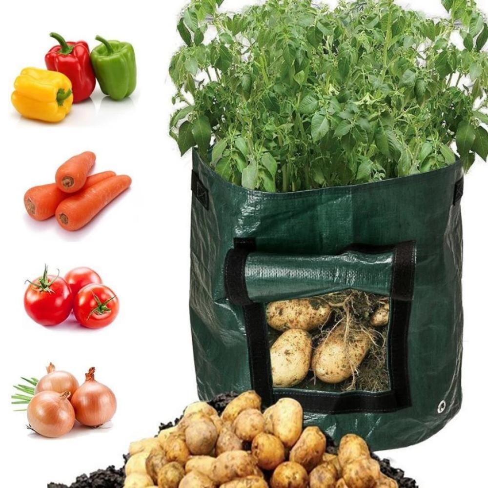 Greenhaus Gardening Vegetable Planting Bags with Easy Access Harvest Flap