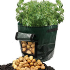 Greenhaus Gardening Vegetable Planting Bags with Easy Access Harvest Flap