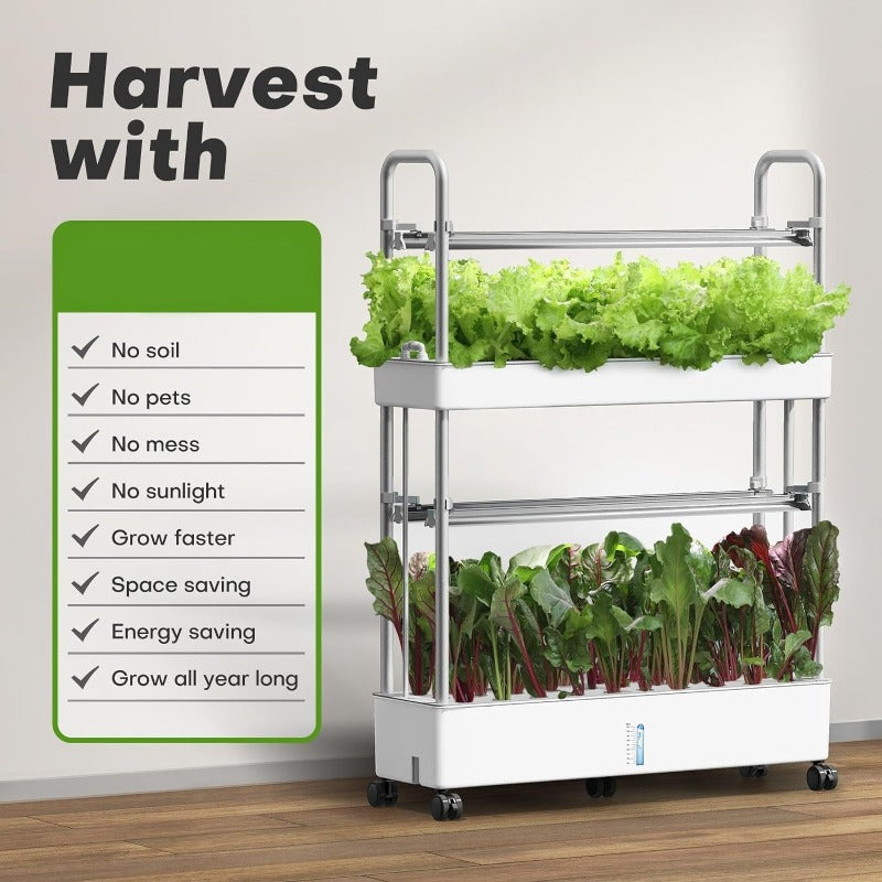 Greenhaus Gardening Indoor Hydroponic Garden with 32L Water Reservoir
