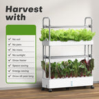 Greenhaus Gardening Indoor Hydroponic Garden with 32L Water Reservoir