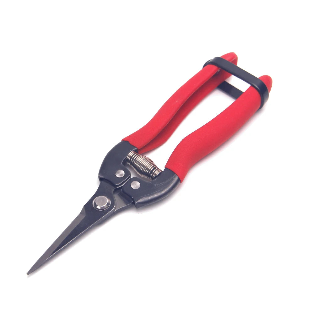 Greenhaus Gardening Professional Garden Snips with Stainless Steel Blades and EVA Comfort Grip