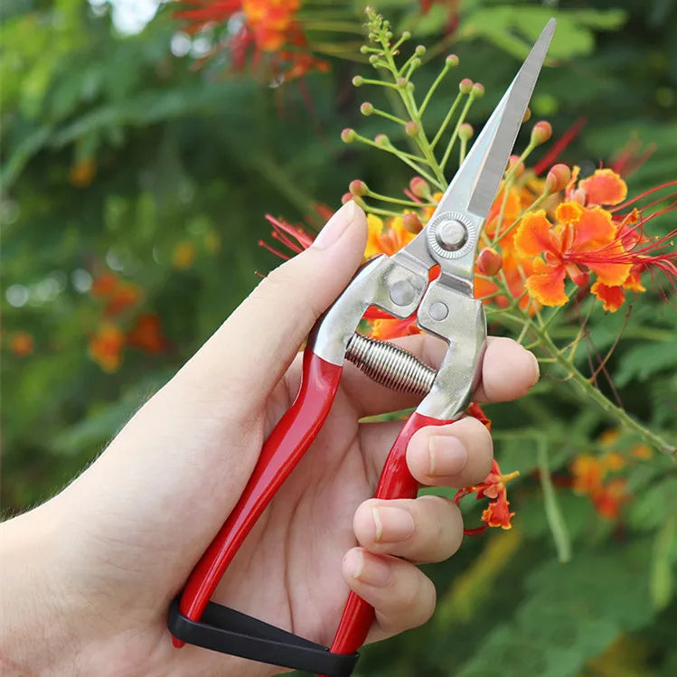 Greenhaus Gardening Stainless Steel Garden Snips for Floral Arranging and Plant Trimming