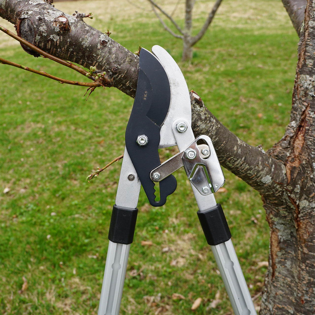 Greenhaus Gardening Heavy Duty Pruning Lopper for Branch Cutting