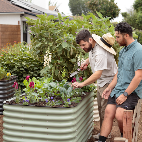 Greenhaus Gardening  29" Tall Modular Garden Beds for Easier Weeding and Harvesting