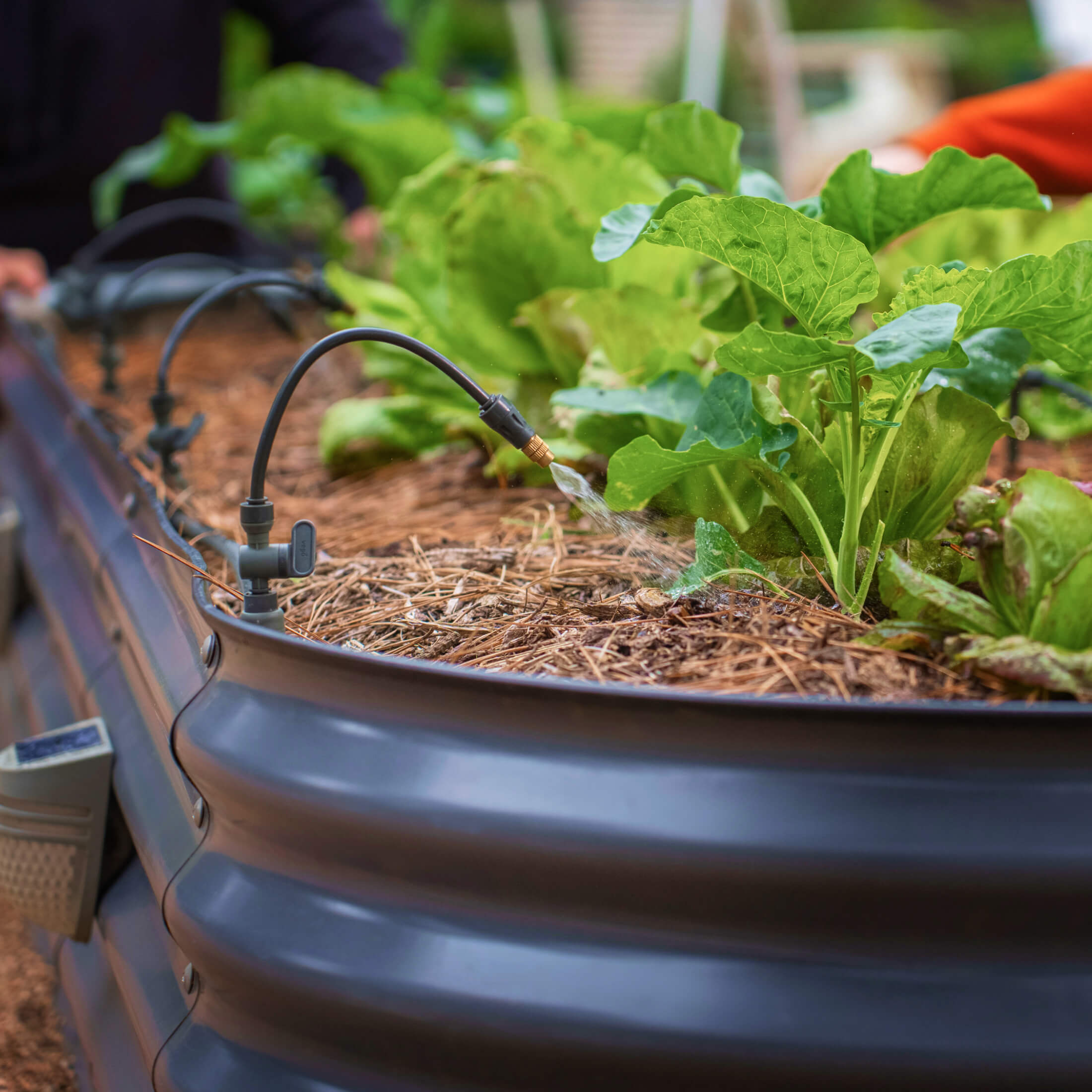 Greenhaus Gardening Mist Nozzle Sprayers for Drip Irrigation