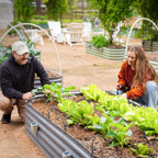 Greenhaus Gardening Mist Nozzle Sprayers for Drip Irrigation