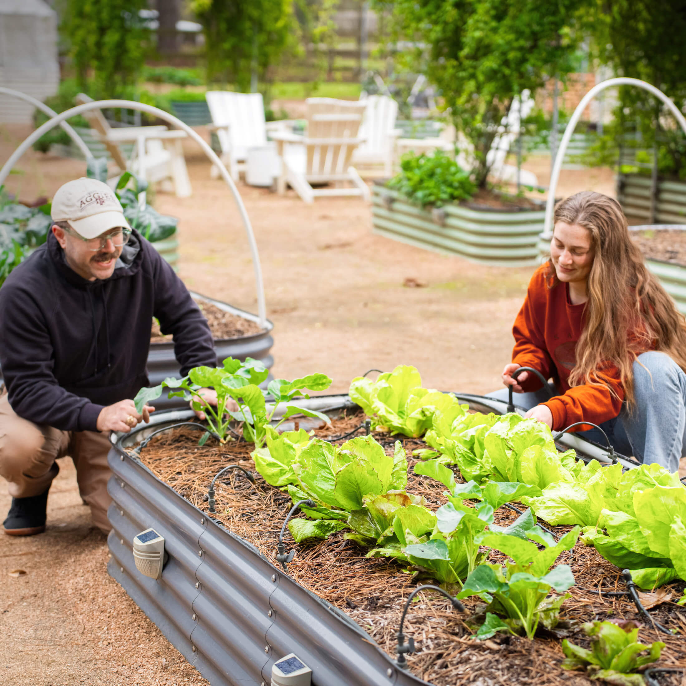 Greenhaus Gardening Mist Nozzle Sprayers for Drip Irrigation