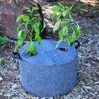 Greenhaus Gardening Plantable Fabric Covers for Moisture Control in Grow Bags