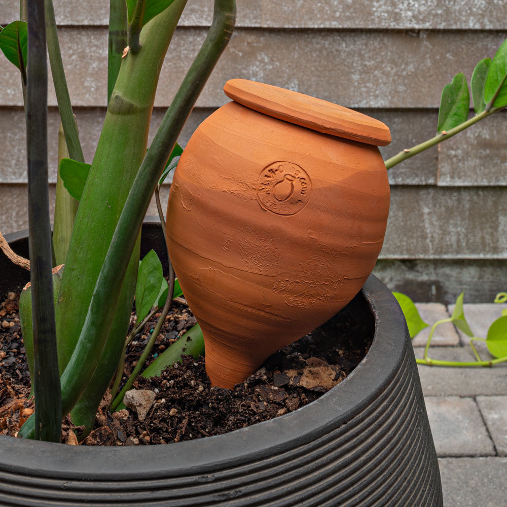 Greenhaus Gardening Terracotta Watering Vessel for Pots & Planters