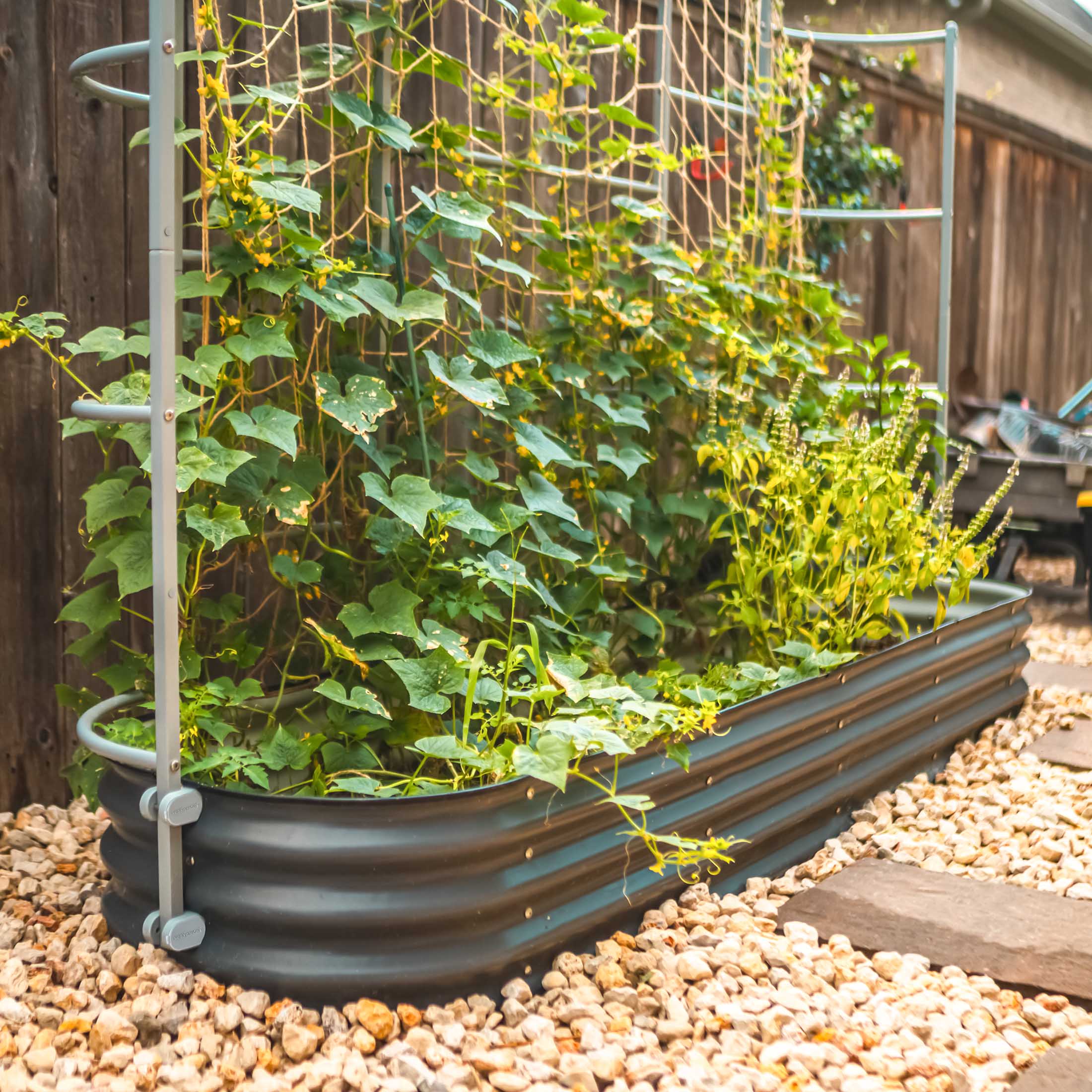 Greenhaus Gardening Metal Garden Trellis for Raised Beds, Outdoor Plant Support