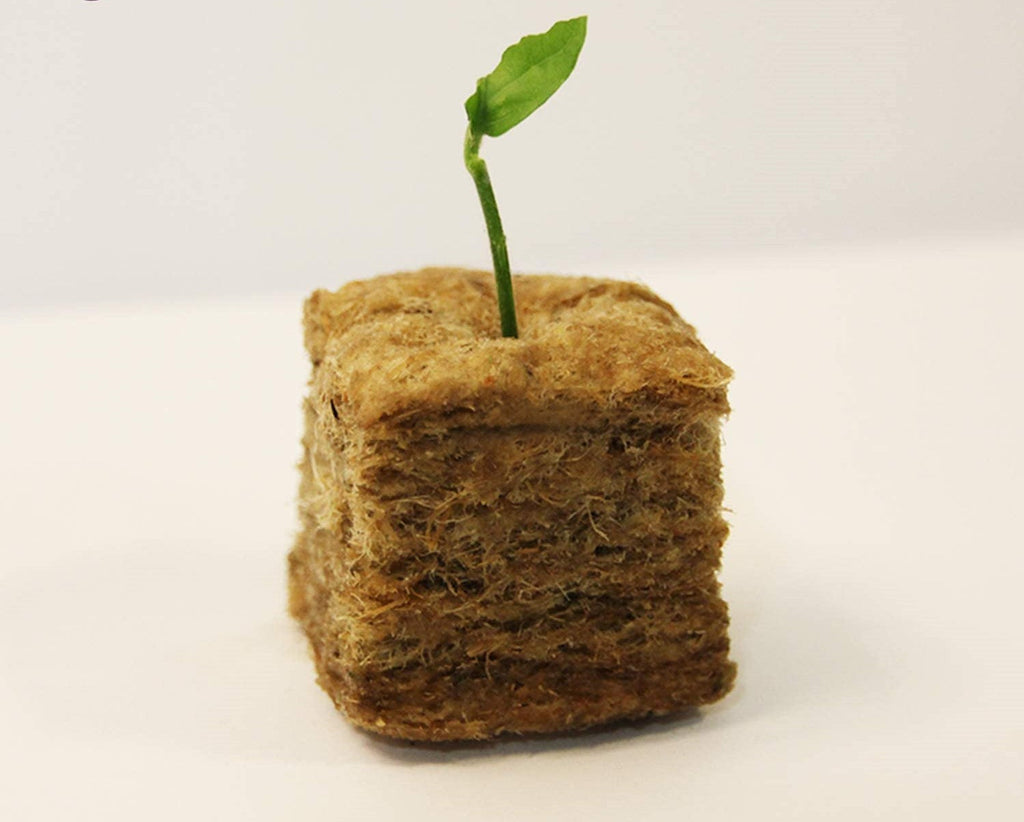 Greenhaus Gardening Rockwool Plant Starter Cubes for Propagation