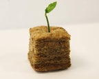 Greenhaus Gardening Rockwool Plant Starter Cubes for Propagation