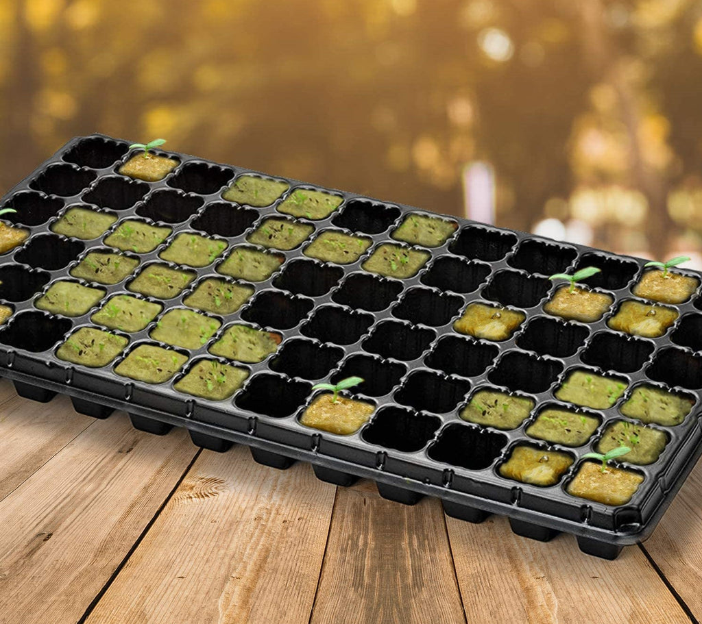 Greenhaus Gardening Rockwool Plant Starter Cubes for Propagation