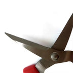 Greenhaus Gardening Long Nose Harvesting Snips with Stainless Steel Precision Blades