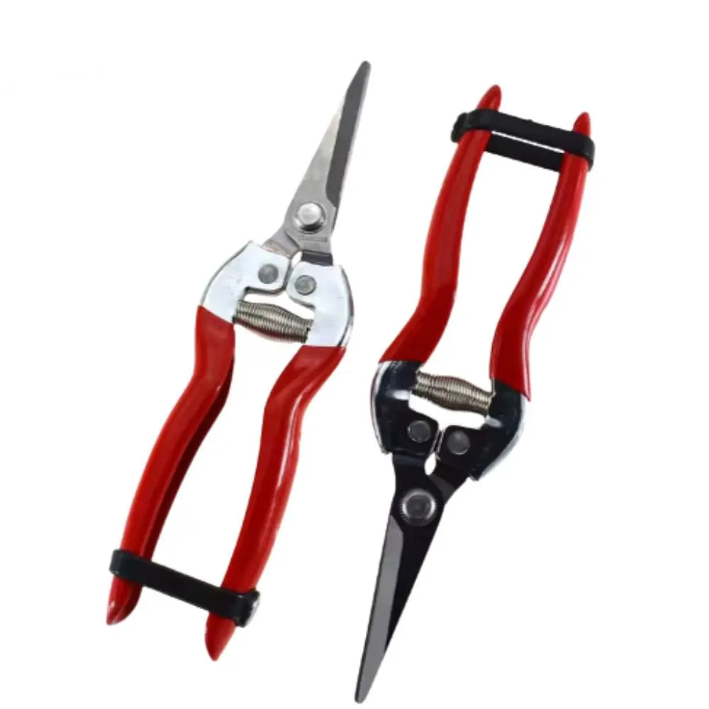 Greenhaus Gardening Long Nose Harvesting Snips with Stainless Steel Precision Blades