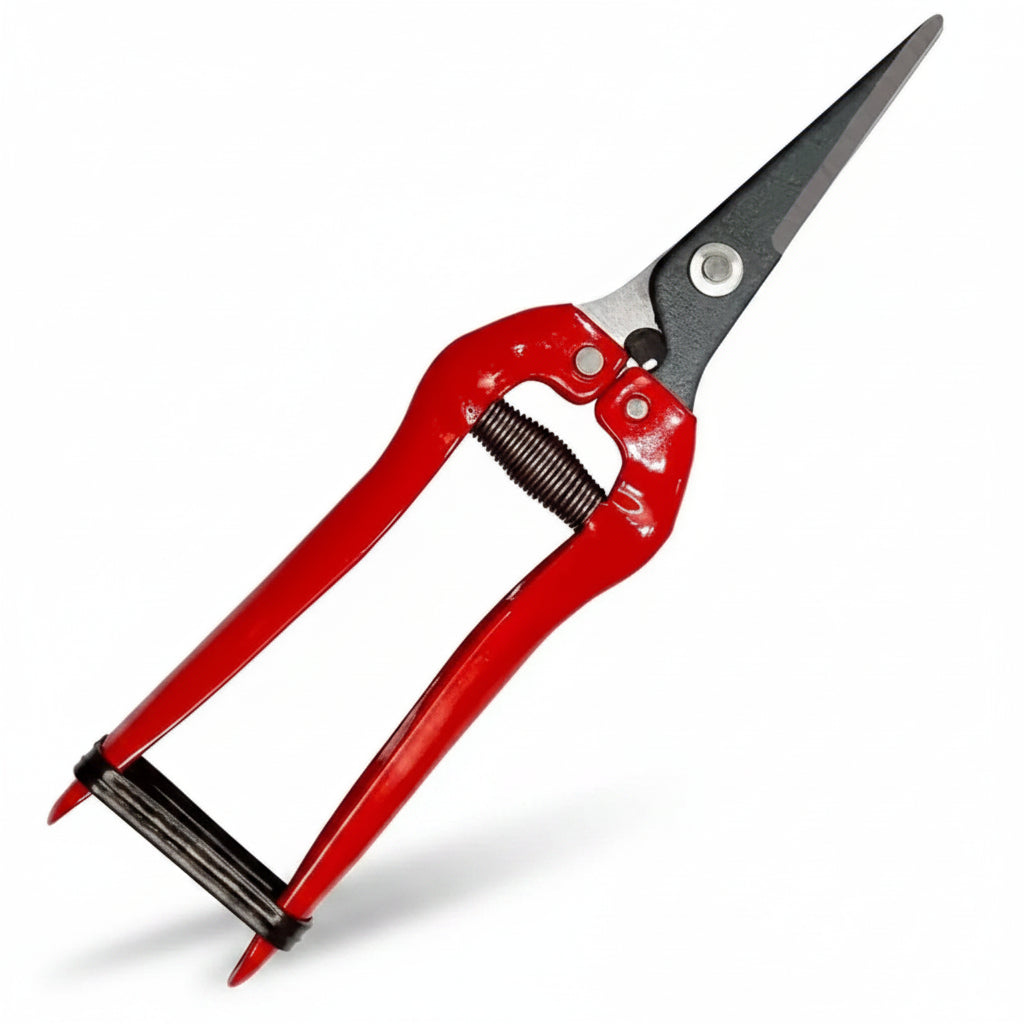 Greenhaus Gardening Long Nose Harvesting Snips with Stainless Steel Precision Blades