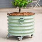 Greenhaus Gardening Magnetic Solar LED Light for Classic Garden Beds