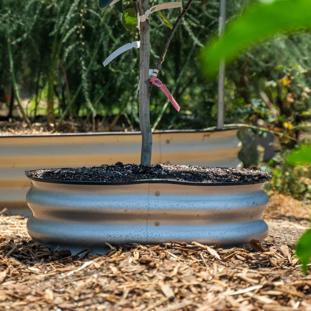 Greenhaus Gardening 8" Tree Protection Bed for Landscape Upgrades and Mulch Control