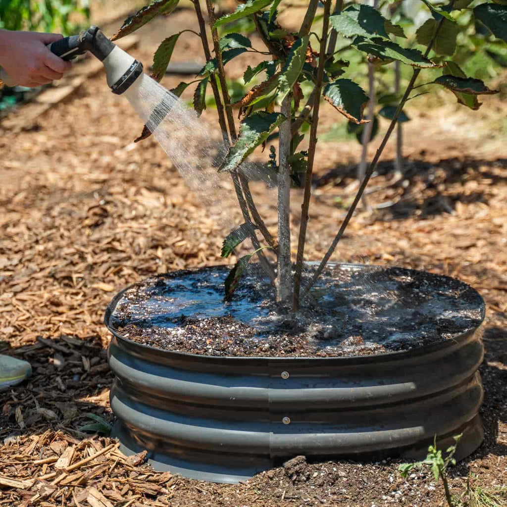 Greenhaus Gardening 8" Tree Protection Bed for Landscape Upgrades and Mulch Control