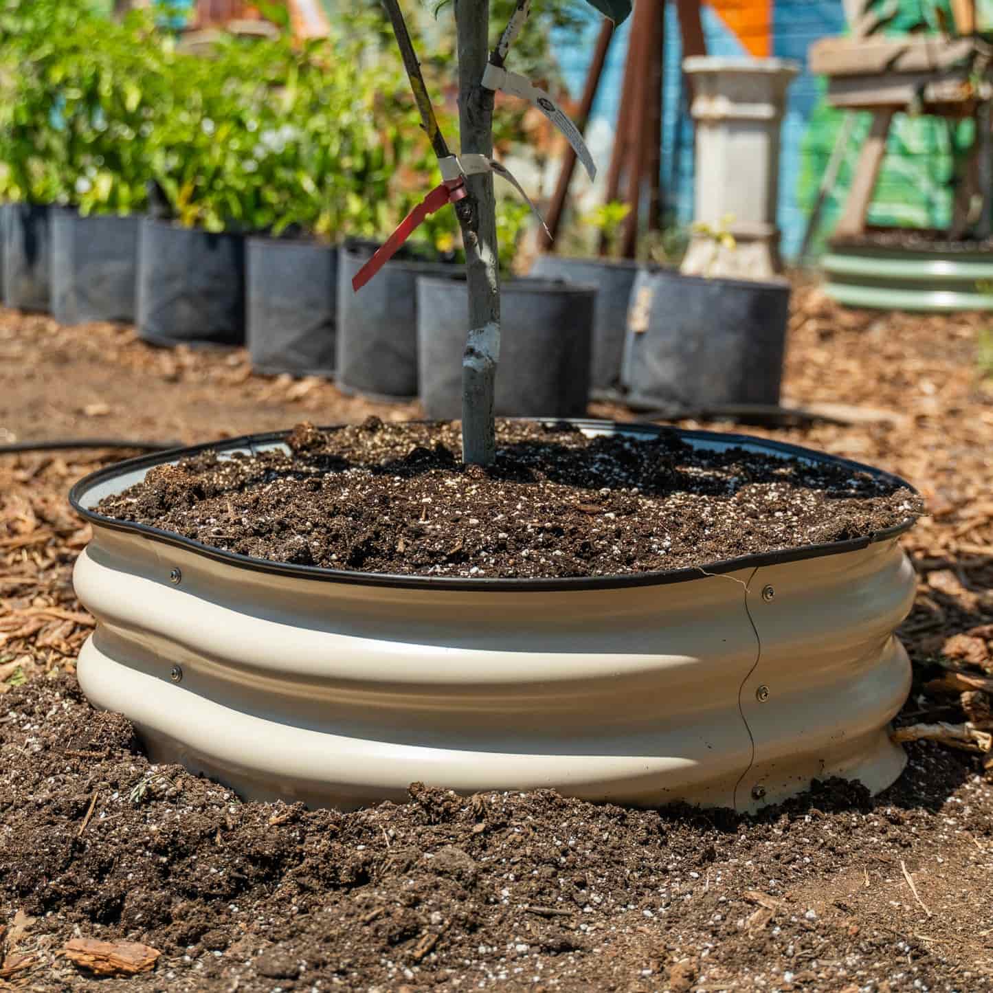 Greenhaus Gardening 8" Tree Protection Bed for Landscape Upgrades and Mulch Control