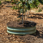Greenhaus Gardening 8" Tree Protection Bed for Landscape Upgrades and Mulch Control