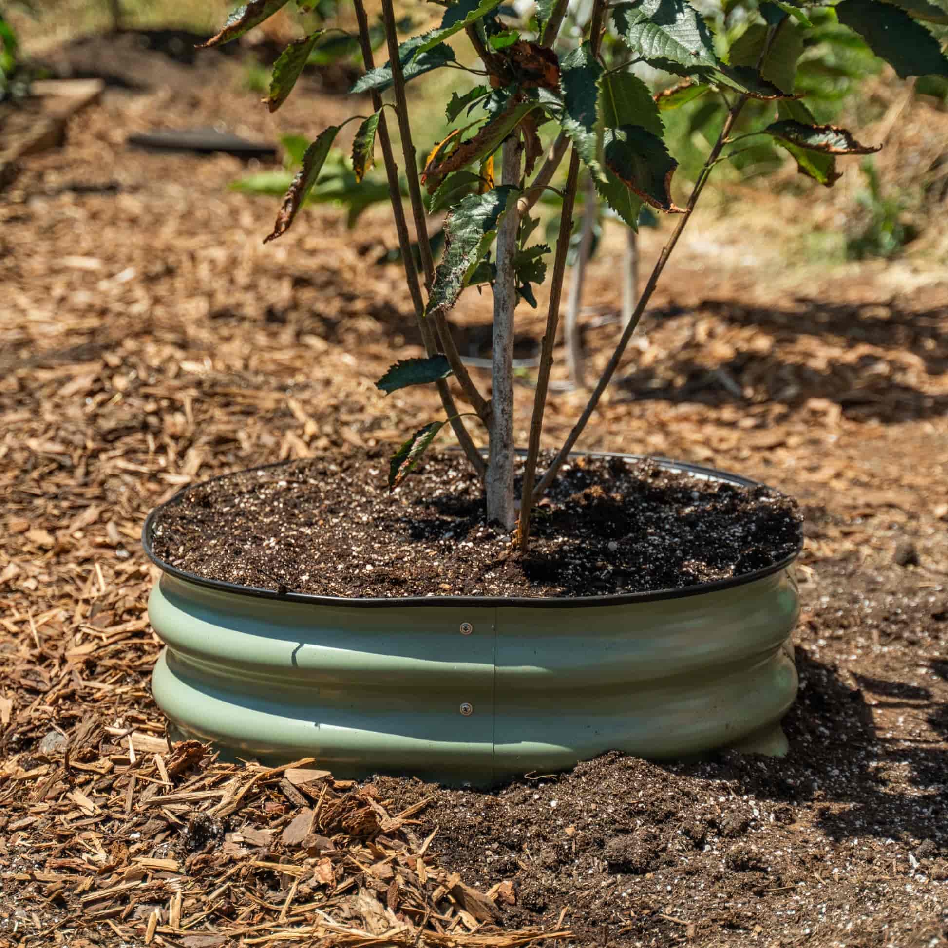 Greenhaus Gardening 8" Tree Protection Bed for Landscape Upgrades and Mulch Control