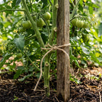 Greenhaus Gardening 2 Pack Jute Twine for Plant Support and Garden Organization
