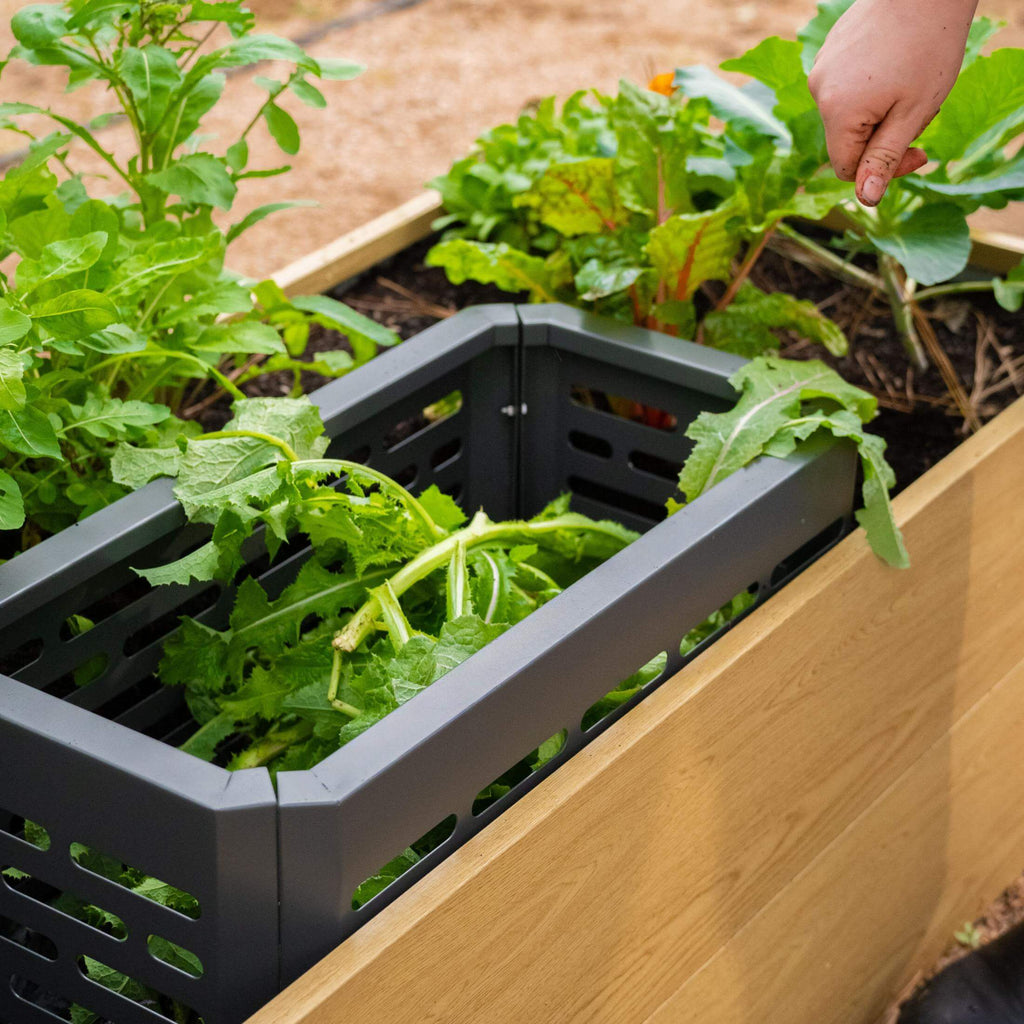 Greenhaus Gardening Garden Composting Bin for Organic Waste