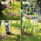 Greenhaus Gardening Metal Garden Trellis for Raised Beds, Outdoor Plant Support