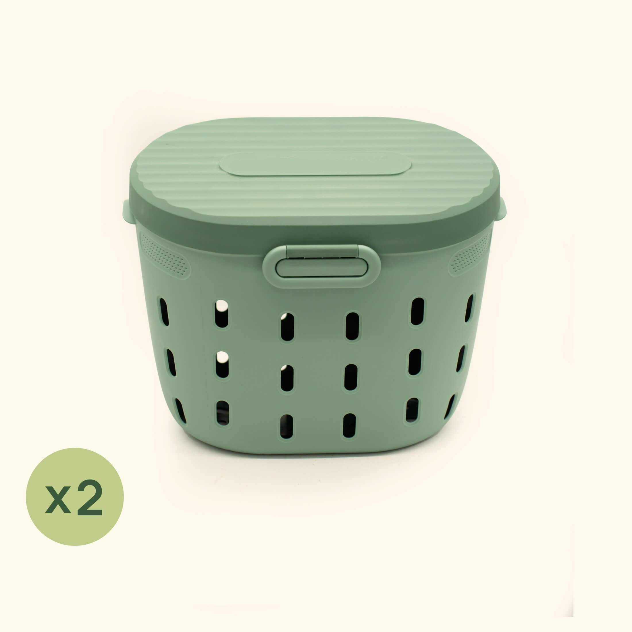Greenhaus Gardening Raised Bed Worm Composter for Sustainable Gardening