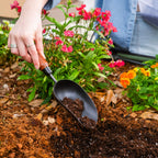 Greenhaus Gardening 4-Piece Gardening Tool Kit for Raised Beds & Flower Gardens