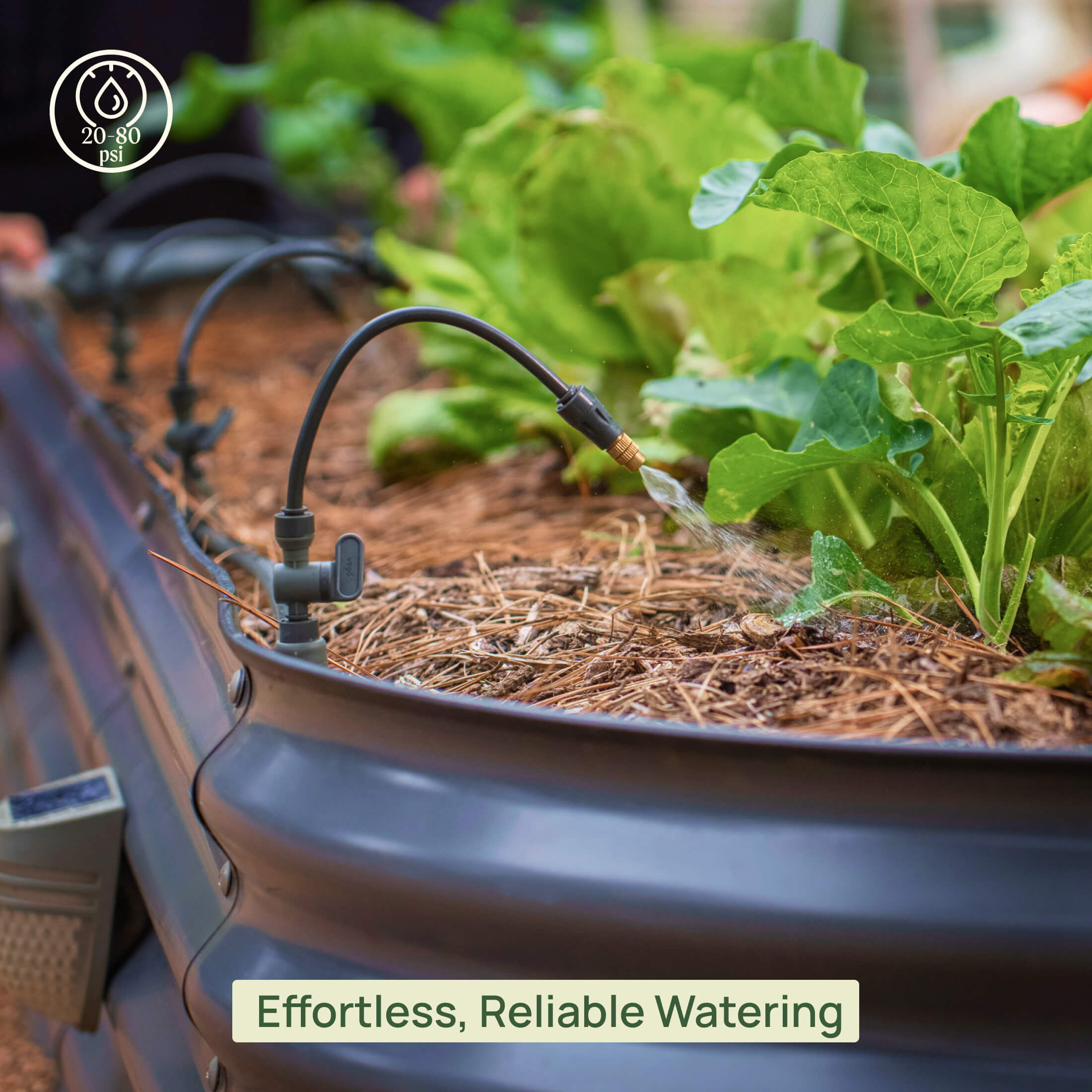 Greenhaus Gardening Raised Bed Irrigation Kit with Mist Sprayers and Sprinklers
