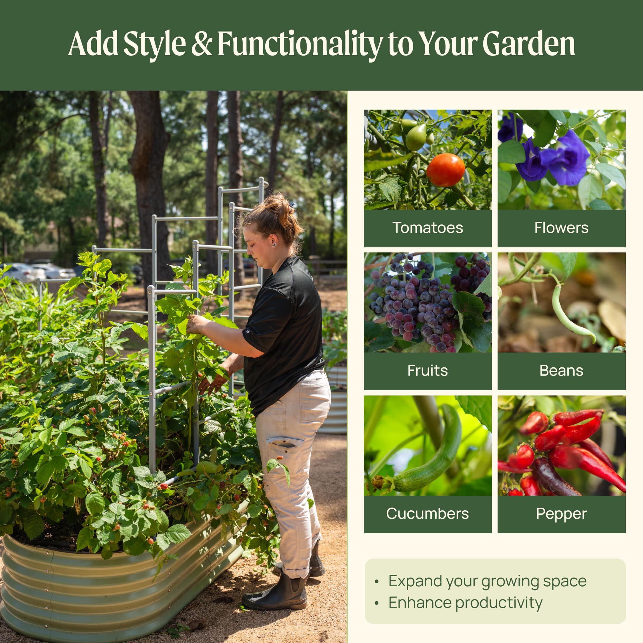 Greenhaus Gardening Modular Wall Trellis System for Raised Garden Beds
