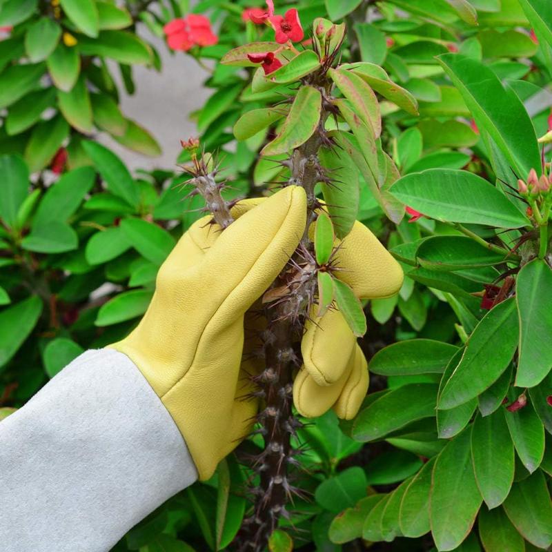 Greenhaus Gardening Adjustable Cuff Pruning Gloves for Yard Work