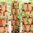 Greenhaus Gardening Vertical Planter 5-Tier Planter for Herbs Greens and Flowers