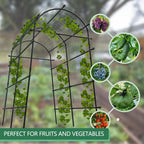 Greenhaus Gardening 7.5 FT Plant Climbing Arch Trellis with Ground Clips