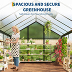 Greenhaus Gardening 6 × 10 ft Walk-In Polycarbonate Greenhouse