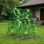 Greenhaus Gardening 47 × 47 in Cucumber Trellis with Net